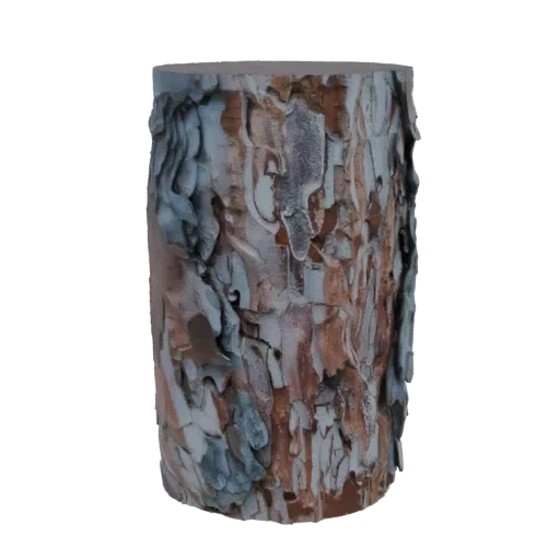 A 3D model of a cylinder with a detailed, rough bark texture, showcasing natural brown and grey tones.