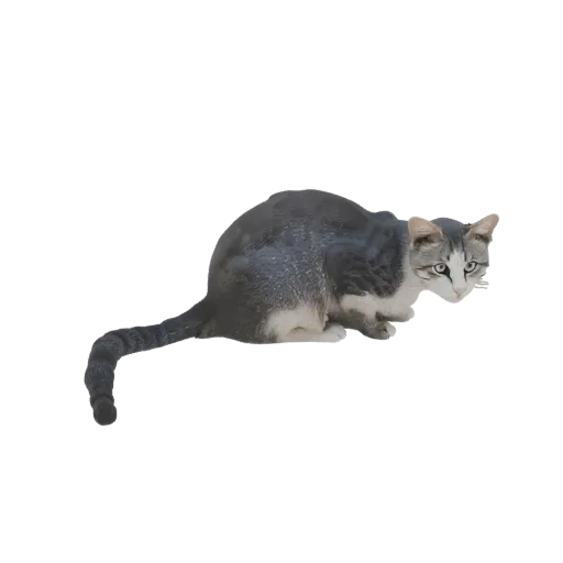Modelo 3D de um gato malhado agachado perto do chão, com o corpo tenso e a cauda estendida.