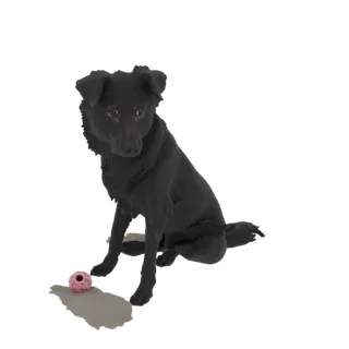3D model of a black dog sitting with its head tilted, a pink ball at its side, against a white background.