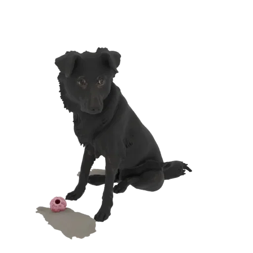 3D model of a black dog sitting with its head tilted, a pink ball at its side, against a white background.