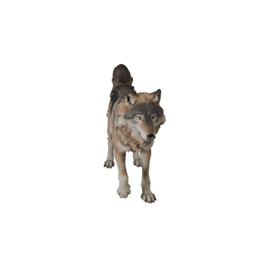 Modello 3D Lupo Realistico - Asset PBR Rigged per Giochi | Royalty-Free