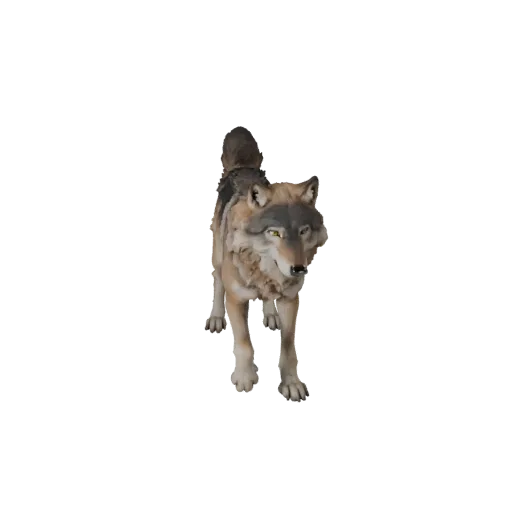 Realistic Wolf 3D Model - Rigged PBR Asset for Games | Royalty-Free