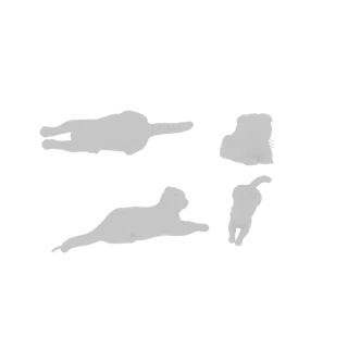 Uma renderização 3D mostrando quatro silhuetas de gatos cinzas em diferentes poses brincalhonas contra um fundo branco.