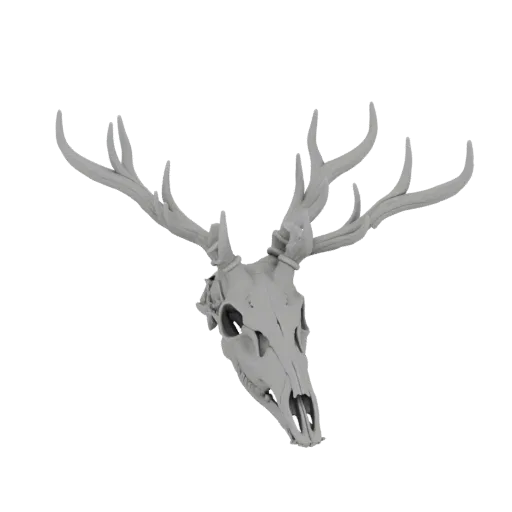 A detailed 3D model of a stag skull with large, complex antlers, presented in a neutral gray material against a white backgro