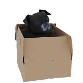 3D-Modell eines schwarzen Mopses mit grauem Schnauzenfell, das aus einer braunen Pappschachtel lugt.