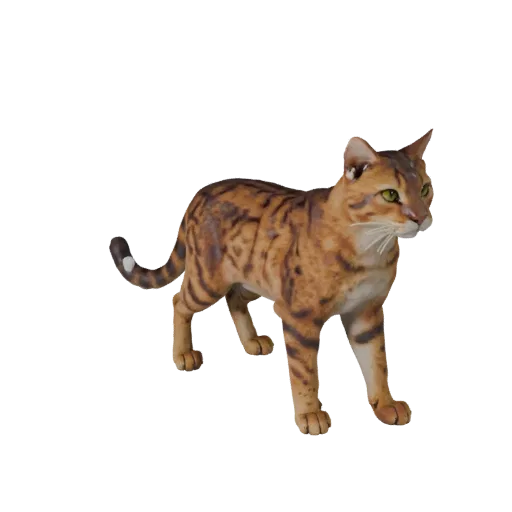 Modelo 3D de Gato Savannah Realista, render de vida selvagem em vista lateral, asset de animal pronto para animação com conic