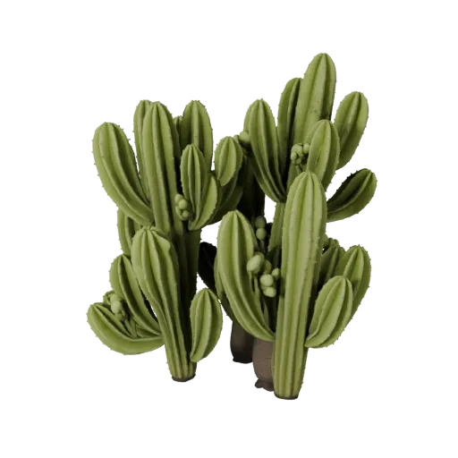 Cactus Desert Cluster Unity 3D model, isometric viewport view, showing leaf clusters, layered vegetation clusters.