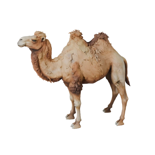 Modello 3D di Cammello per Blender - Asset PBR con Texture | Royalty-Free