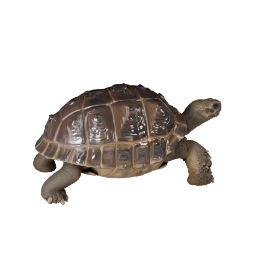 Modelo 3D de Tartaruga-das-Galápagos para Blender - Asset PBR com Texturas