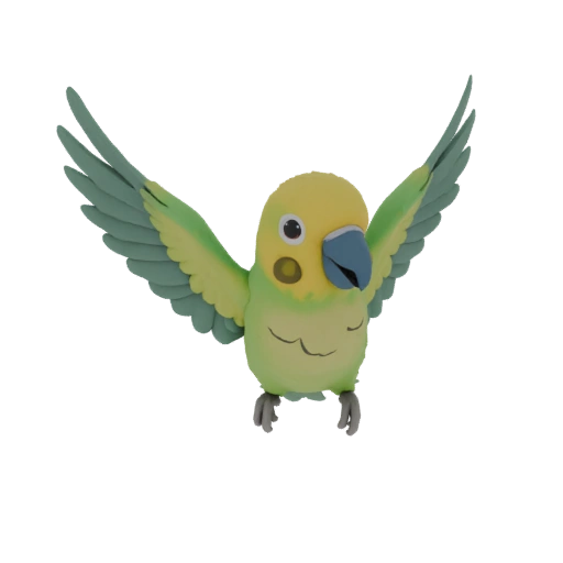 Budgerigar in flight