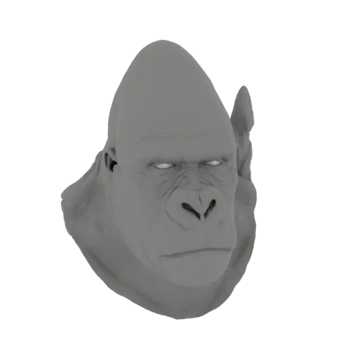 Una renderización 3D de una cabeza de gorila gris realista con ojos blancos, mirando hacia adelante.