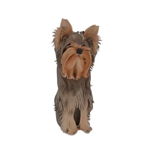3D-Modell eines sitzenden Yorkshire Terriers mit detaillierten Felltexturen und wachem Ausdruck, präsentiert auf weißem Hinte