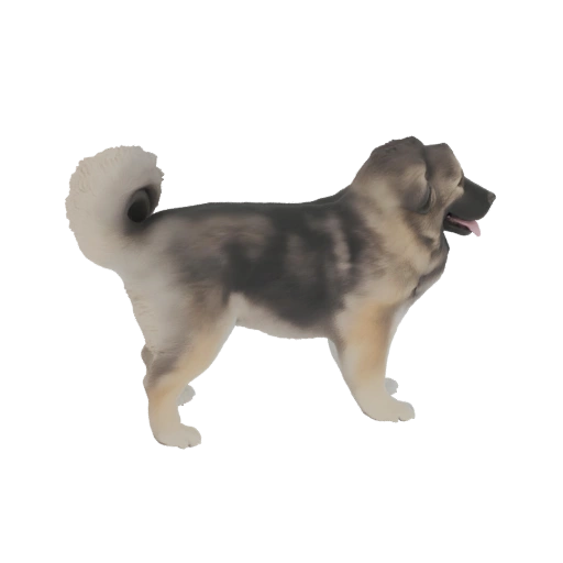 Caucasian Shepherd Dog 3D Model