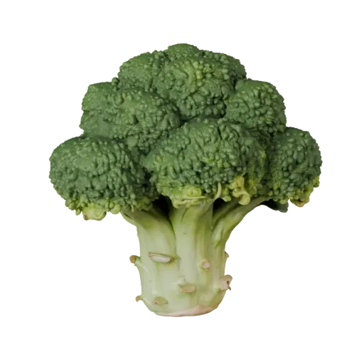 Organic Broccoli Head High Poly 3D model, close-up studio render, showing leaf veins, clear vegetable silhouettes.