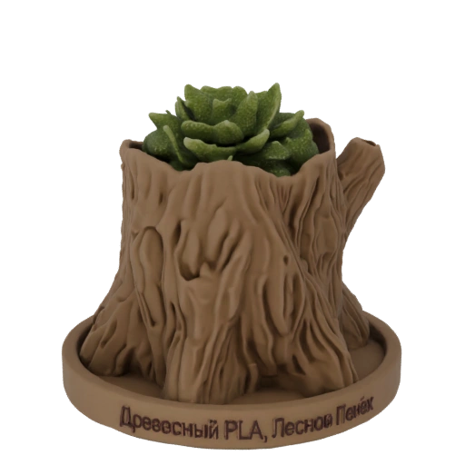 Tree Stump Planter with Succulent