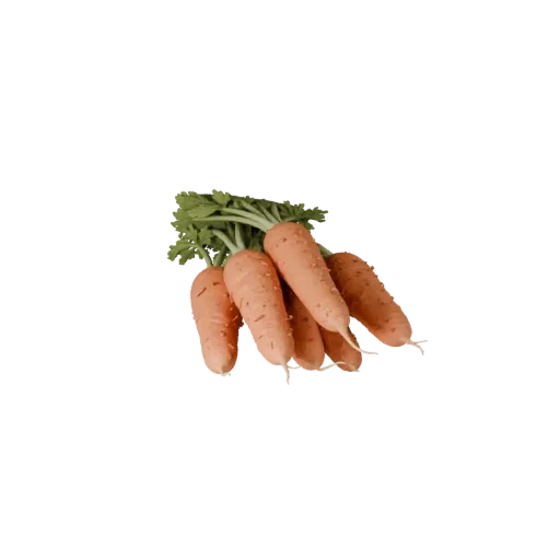 Chopped Carrot Bunch Realistic 3D model, three-quarter studio render, showing leaf veins, clear vegetable silhouettes.