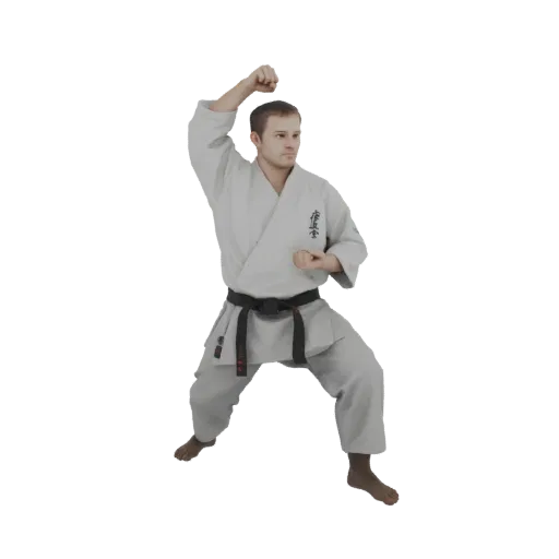 3D model of a male karateka in a ready stance, wearing a white gi and black belt, with one fist raised.