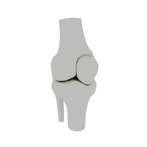 A 3D model of the human knee joint, viewed from the front, showing the femur, tibia, and patella in a neutral gray color agai