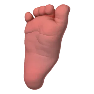 A realistic 3D model of a baby's foot, showing toes and sole detail against a black background.