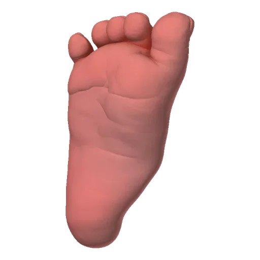 A realistic 3D model of a baby's foot, showing toes and sole detail against a black background.