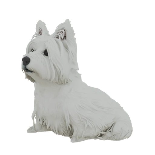 White West Highland Terrier Sitting 3D Model