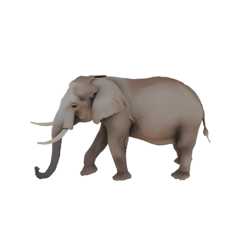 African Elephant 3D Model