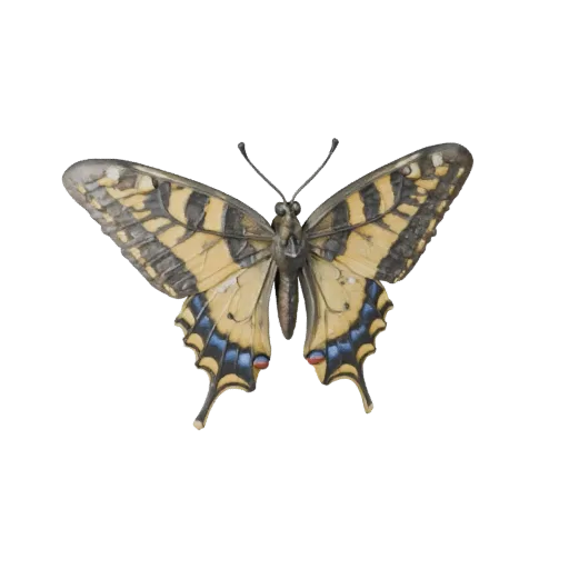 High Poly Swallowtail Butterfly 3D Model - STL Asset for Printing