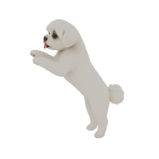 Modèle 3D d'un chien maltais blanc sautant avec la langue sortie, sur fond blanc.