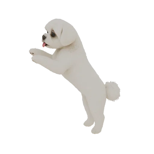 Modèle 3D d'un chien maltais blanc sautant avec la langue sortie, sur fond blanc.