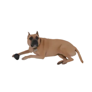 3D model of a tan Pitbull mix dog lying down, looking at the camera with a dark toy between its paws.