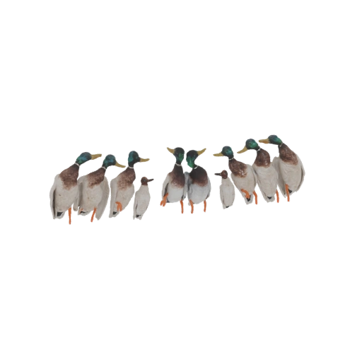 Mallard Duck Family