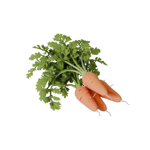 Garden Carrot Bunch 3D model, three-quarter front view, Unity viewport, showing leaf veins, clear vegetable silhouettes.