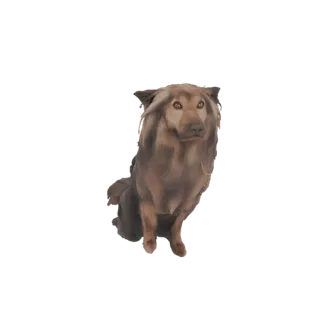 A 3D model of a fluffy brown dog sitting down, with its head turned slightly to the side.