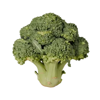 Organic Broccoli Head 3D model, three-quarter front view, Unity viewport, showing leaf veins, form detail.