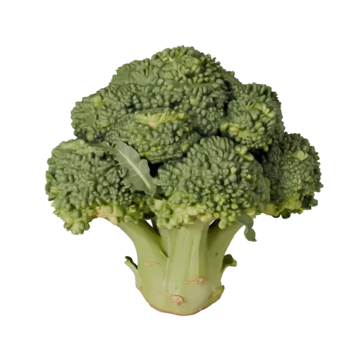 Organic Broccoli Head 3D model, three-quarter front view, Unity viewport, showing leaf veins, form detail.