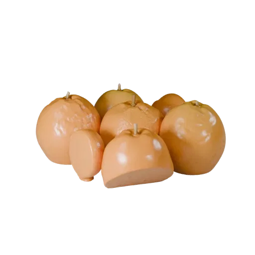 Market Orange Realistic 3D model, three-quarter studio render, showing skin pores, recognizable fruit forms.
