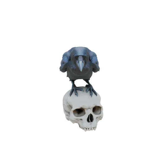 A 3D render of a black crow with its talons gripping the top of a human skull, set against a black background.