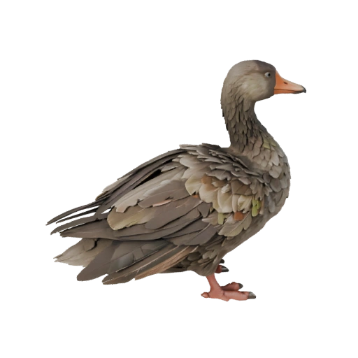 Gans 3D Modell für Blender - PBR Asset mit Texturen | Lizenzfrei