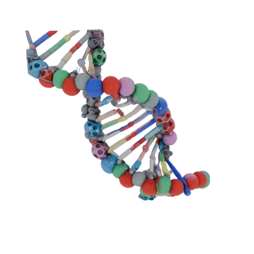 Organic DNA Helix 3D model, side profile view, technical viewport render, showing colored spheres, molecule layout.