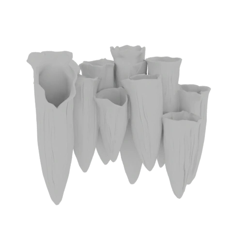 Coral Colony 3D Model