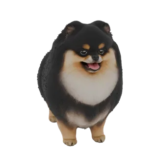 A 3D render of a fluffy black and tan Pomeranian dog standing with its tongue slightly out, looking happy.
