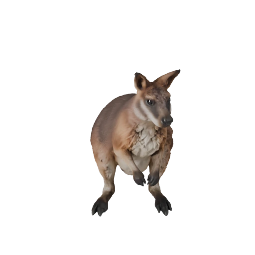 Modelo 3D de Wallaby para Unity - Asset Pronto para Jogo, FBX | Livre de Royalties