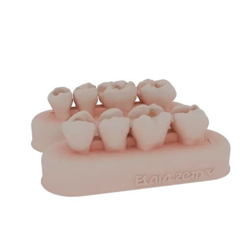 Renderização 3D de um arco dentário rosa com múltiplos dentes, mostrando detalhes anatômicos.