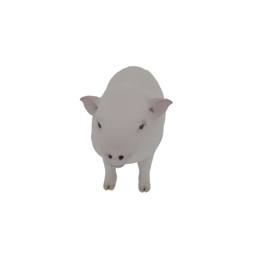 Un rendering 3D di un maialino rosa carino in piedi e rivolto in avanti, con una texture liscia e pulita e caratteristiche se