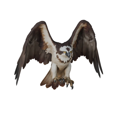 نموذج Osprey واقعي ثلاثي الأبعاد - أصل PBR مجهز للألعاب | PBR
