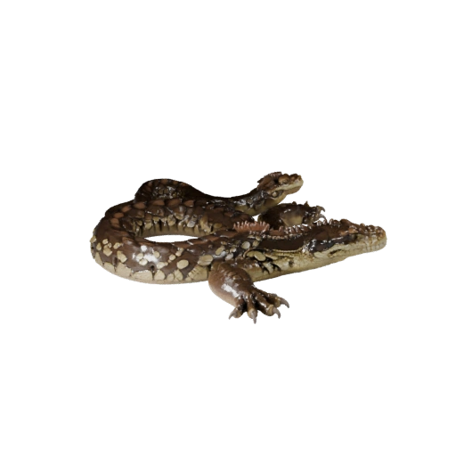 Modelo 3D Boa Constrictor para Blender - Activo PBR con Texturas