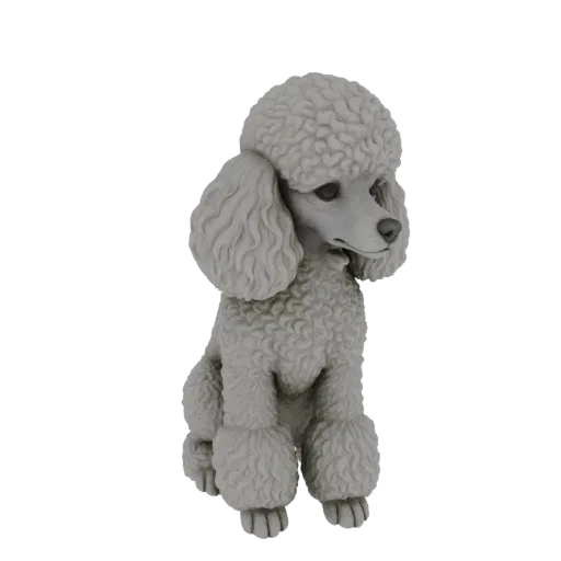 3D model of a gray poodle sitting, showcasing its curly fur texture and alert expression.
