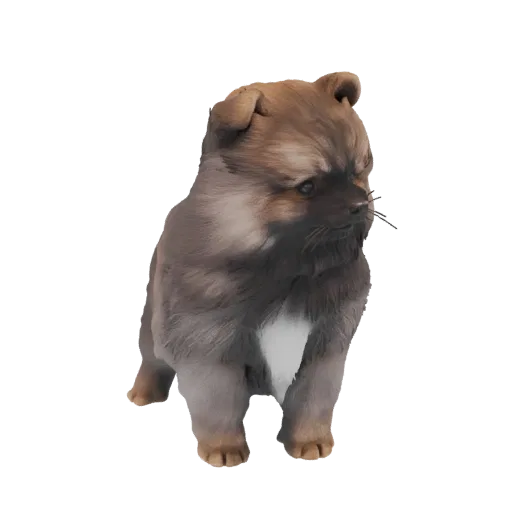 3D model of a fluffy Pomeranian puppy with brown and tan fur, looking slightly to the side.