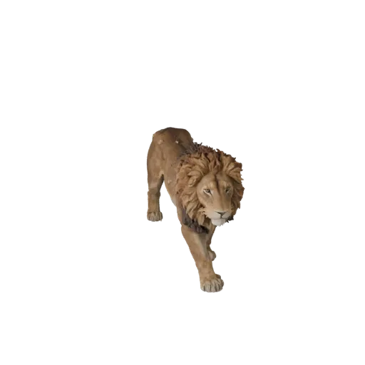 African Lion 3D Model for Unity - Game Ready Asset, FBX | PBR