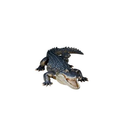 Modello 3D Alligatore High Poly - Asset STL Dettagliato per la Stampa